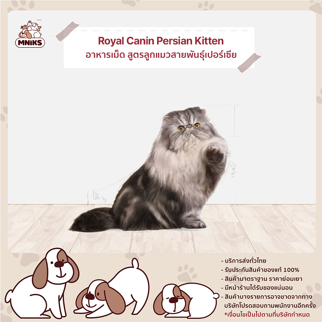 Royal Canin Persian อาหารเม็ด แมวโตพันธุ์เปอร์เซีย - บริษัท มนูญเพ็ทช็อป  บาย ไอเคเอส จํากัด