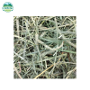 Oxbow Hay Blends Western Timothy & Orchard Grass 20oz. - Image 3
