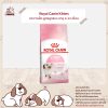 Royal Canin Kitten อาหารเม็ด สูตรลูกแมว อายุ 4-12 เดือน