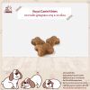 Royal Canin Kitten อาหารเม็ด สูตรลูกแมว อายุ 4-12 เดือน - Image 2
