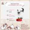 Royal Canin Kitten อาหารเม็ด สูตรลูกแมว อายุ 4-12 เดือน - Image 4
