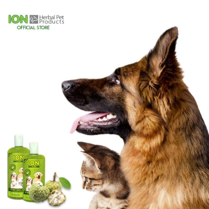 ION FT500 TX Free Shampoo 500ml - Image 2
