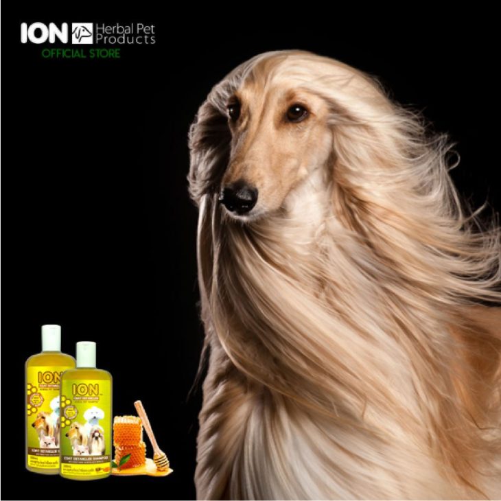 ION HN500 ROYAL JELLY Coat Detangler Shampoo 500ml แชมพูสมุนไพรสัตว์เลี้ยงไออ้อน สูตรน้ำผึ้ง - Image 2