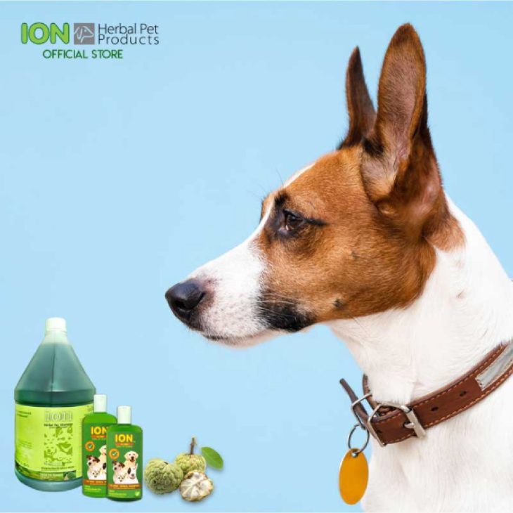 ION FS4L TX Free Shampoo 4000ml แชมพูสมุนไพรไออ้อน - Image 2