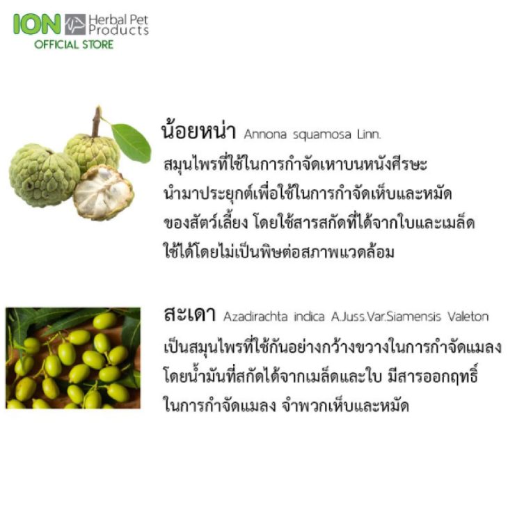 ION FS4L TX Free Shampoo 4000ml แชมพูสมุนไพรไออ้อน - Image 3