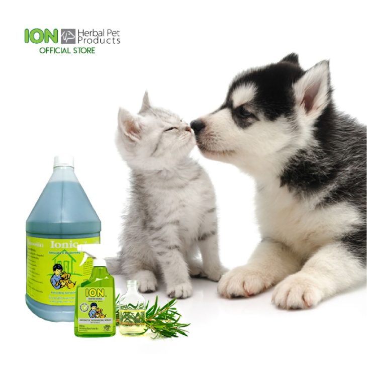 ION IO4L ION Antiseptic and Deodorizing Spray 4000ml สเปรย์ฆ่าเชื้อและกำจัดกลิ่นไอออนิค - Image 2