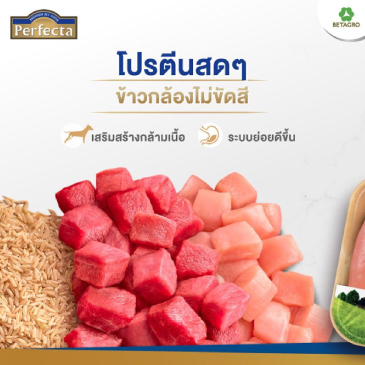 Perfecta อาหารเกรดพรีเมี่ยม สำหรับลูกสุนัข ตั้งแต่อายุ 3 เดือน -1 ปี สูตรไก่และข้าวกล้อง - Image 2