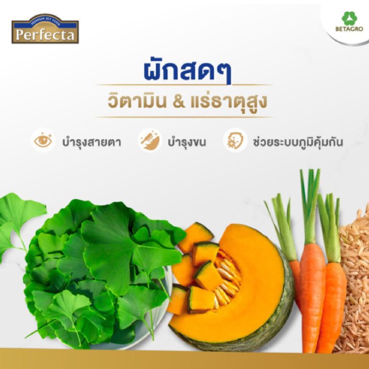 Perfecta อาหารเกรดพรีเมี่ยม สำหรับลูกสุนัข ตั้งแต่อายุ 3 เดือน -1 ปี สูตรไก่และข้าวกล้อง - Image 3
