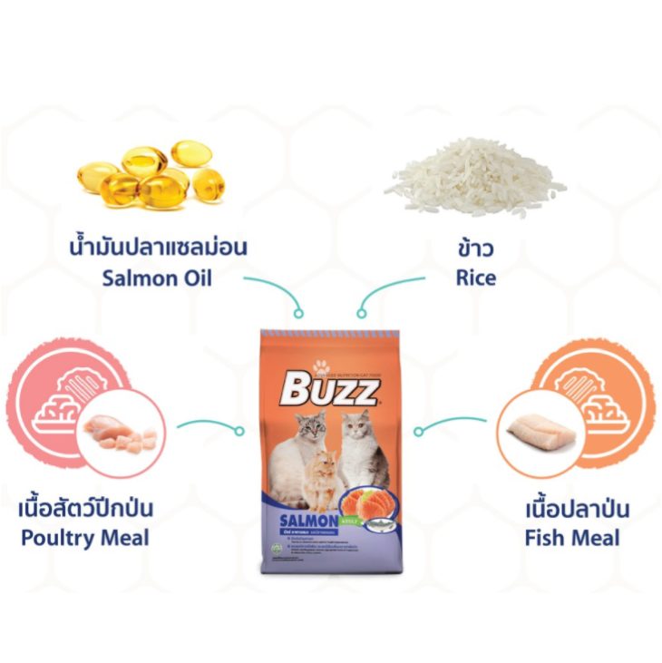 Buzz อาหารแมวโต Advanced Nutrition Cat Food - Image 4