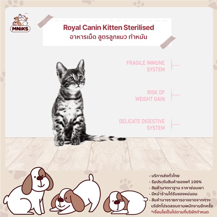 Royal Canin Kitten Sterilised อาหารเม็ด สูตรลูกแมวทำหมัน - Image 4