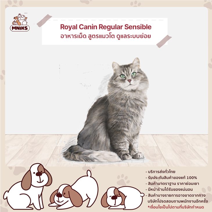 Royal Canin Sensible อาหารเม็ด สูตรแมวโต ดูแลระบบย่อยอาหาร - Image 3