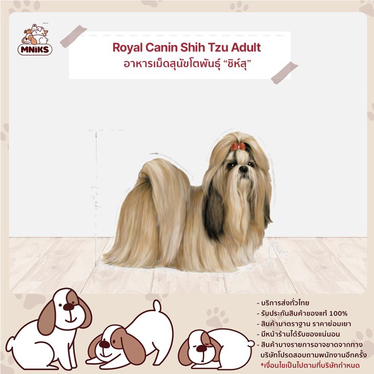 Royal Canin Shih Tzu Adult อาหารเม็ดสุนัขโต พันธุ์ชิห์สุ - Image 3
