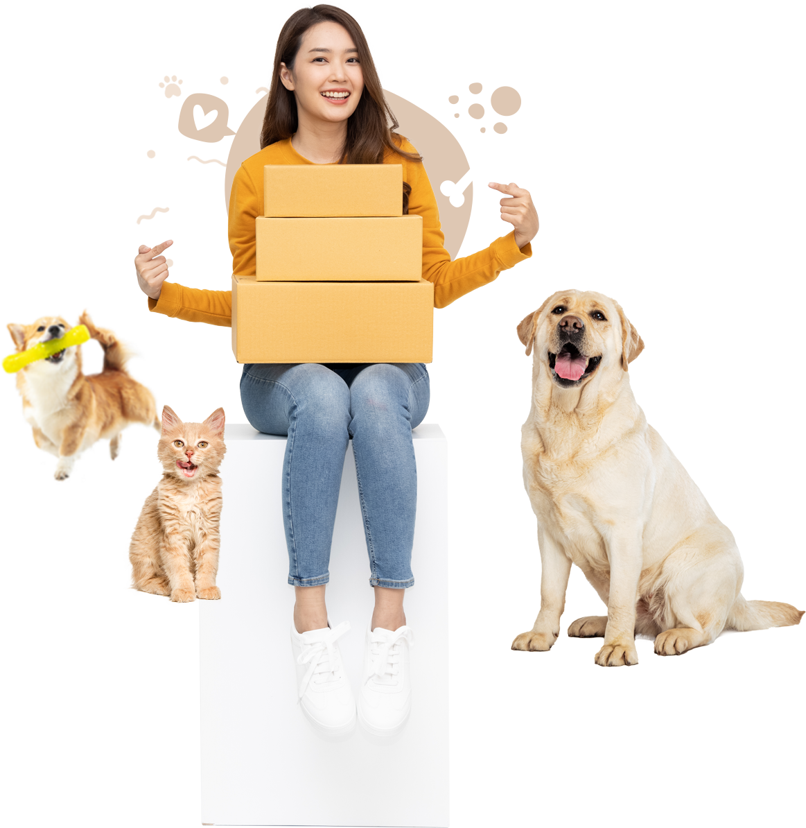 Shiping_box_icon_05