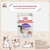 Royal Canin FHW FHW Sterilised Jelly อาหารเปียกแมว เจลลี่ สูตรแมวโต และทำหมัน