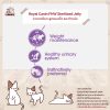Royal Canin FHW FHW Sterilised Jelly อาหารเปียกแมว เจลลี่ สูตรแมวโต และทำหมัน - Image 4