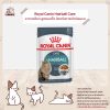 Royal Canin Hairball Care อาหารเปียกแมวโต เกรวี่ ป้องกันการเกิดก้อนขน