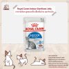 Royal Canin Indoor Sterilised Jelly อาหารเปียกแมว วุ้นเจลลี่ สูตรแมวโต เลี้ยงในบ้าน และทำหมัน