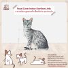 Royal Canin Indoor Sterilised Jelly อาหารเปียกแมว วุ้นเจลลี่ สูตรแมวโต เลี้ยงในบ้าน และทำหมัน - Image 3