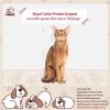 Royal Canin Protein Exigent อาหารเม็ดแมวโตกินยาก โปรตีนสูง - Image 3