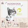Royal Canin Sensory Smell Jelly อาหารเปียกแมว เจลลี่ สูตรแมวโต ทานยาก กลิ่นหอม - Image 4