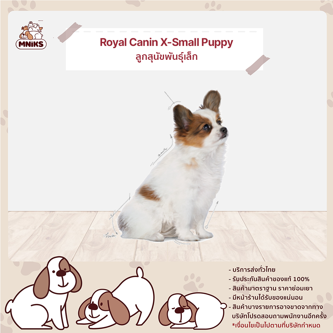 Royal Canin X-Small Puppy อาหารเม็ดลูกสุนัขพันธุ์เล็ก  (น้ำหนักโตเต็มวัยต่ำกว่า 4 กก.) - บริษัท มนูญเพ็ทช็อป บาย ไอเคเอส จํากัด
