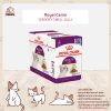 Royal Canin Sensory Smell Jelly อาหารเปียกแมว เจลลี่ สูตรแมวโต ทานยาก กลิ่นหอม