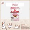 Royal Canin Pouch Kitten Instinctive GRAV อาหารเปียกแมว แบบชิ้นในซอสเกรวี่ สูตรลูกแมว - Image 2