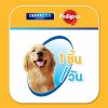 Pedigree Denta Stick เพดดิกรี เดนต้าสติก ขนมขัดฟันสุนัข  3 แท่ง สุนัขพันธุ์ใหญ่ - Image 7