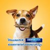Pedigree Denta Stick เพดดิกรี เดนต้าสติก ขนมขัดฟันสุนัข สุนัขพันธุ์กลาง 14 แท่ง - Image 2