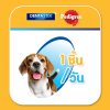Pedigree Denta Stick เพดดิกรี เดนต้าสติก ขนมขัดฟันสุนัข สุนัขพันธุ์กลาง 14 แท่ง - Image 7