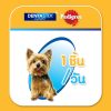 Pedigree Denta Stick เพดดิกรี เดนต้าสติก ขนมขัดฟันสุนัข สุนัขพันธุ์ตุ๊กตา - Image 7