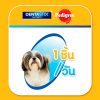 Pedigree Denta Stick เพดดิกรี เดนต้าสติก ขนมขัดฟันสุนัข สุนัขพันธุ์เล็ก 28 แท่ง - Image 7