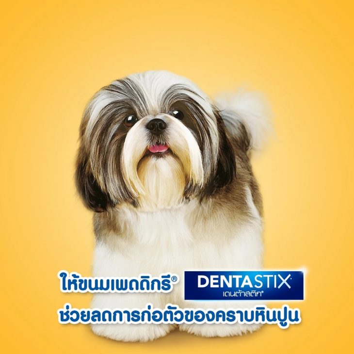 Pedigree Denta Stick เพดดิกรี เดนต้าสติก ขนมขัดฟันสุนัข สุนัขพันธุ์เล็ก รสชาเขียว - Image 2