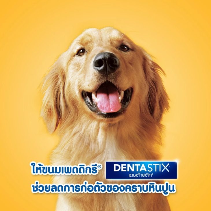 Pedigree Denta Stick เพดดิกรี เดนต้าสติก ขนมขัดฟันสุนัข สุนัขพันธุ์ใหญ่ รสเนื้อรมควัน - Image 2