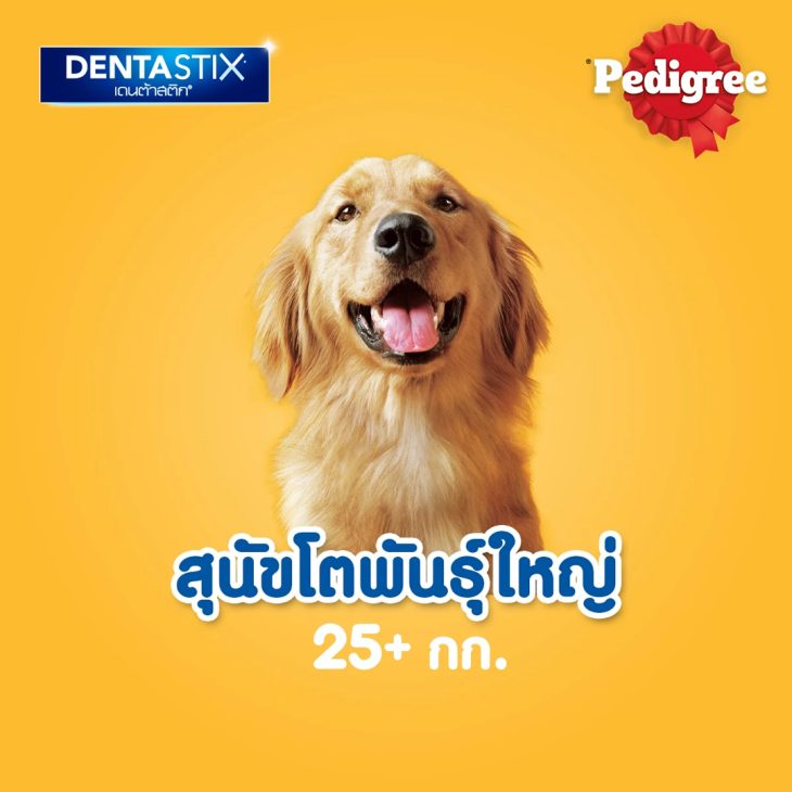 Pedigree Denta Stick เพดดิกรี เดนต้าสติก ขนมขัดฟันสุนัข สุนัขพันธุ์ใหญ่ รสเนื้อรมควัน - Image 6