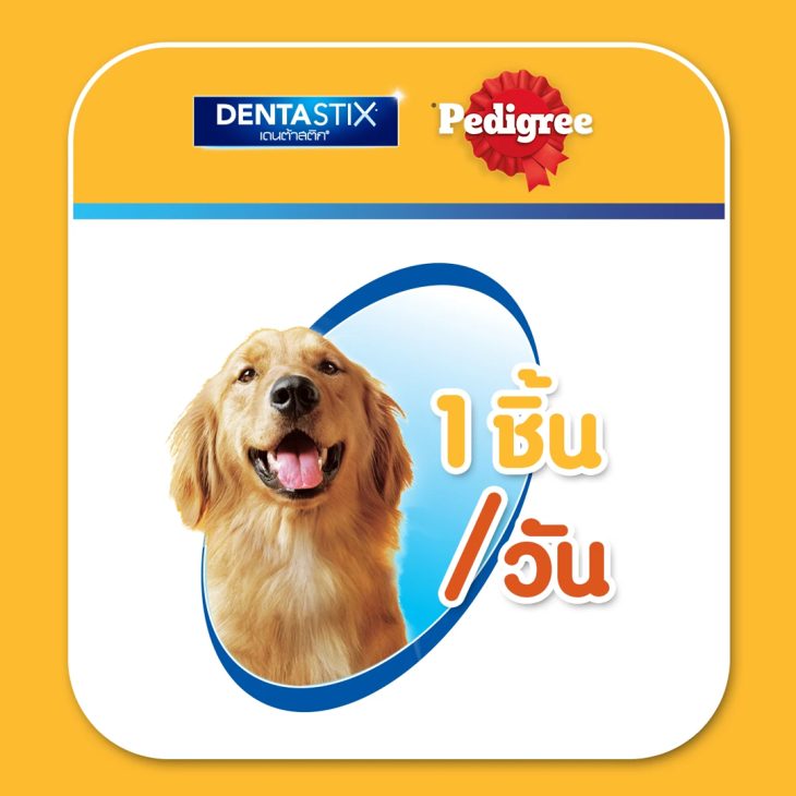 Pedigree Denta Stick เพดดิกรี เดนต้าสติก ขนมขัดฟันสุนัข สุนัขพันธุ์ใหญ่ รสเนื้อรมควัน - Image 7