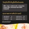 Sheba Melty Megapack ชีบา เมลตี้ เมก้าแพ็ค ขนมแมวเลีย รสไก่ & ไก่และปลาเนื้อขาว - Image 2