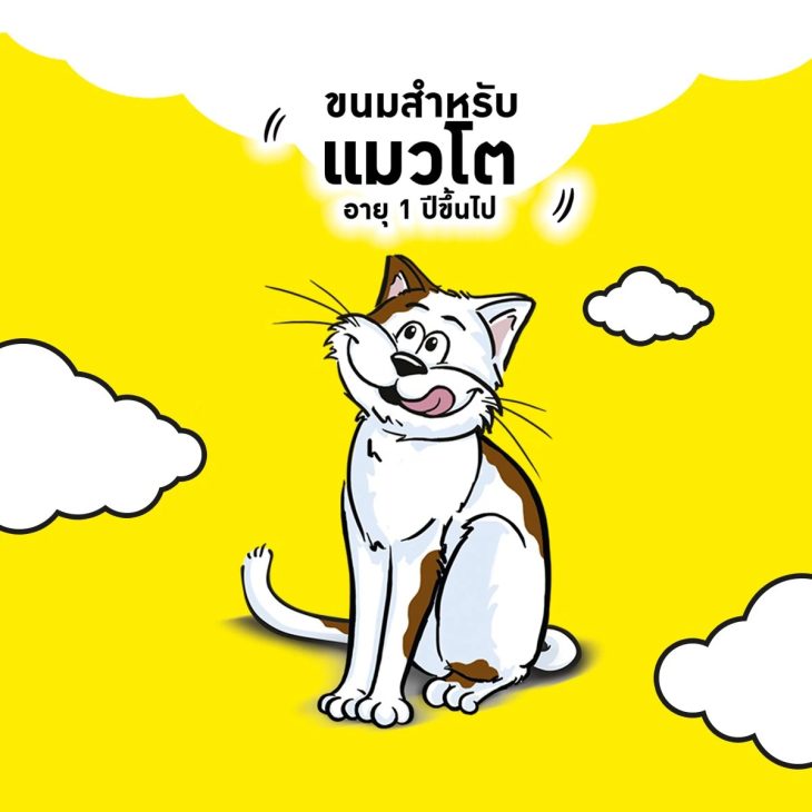Temptations Mix Ups เทมเทชันส์ มิกซ์ อัพ ขนมแมว รสทูน่า & แซลมอนและกุ้ง - Image 4