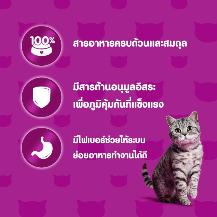 Whiskas วิสกัส อาหารเม็ดแมว สูตรแมวโต รสปลาทูน่า - Image 3