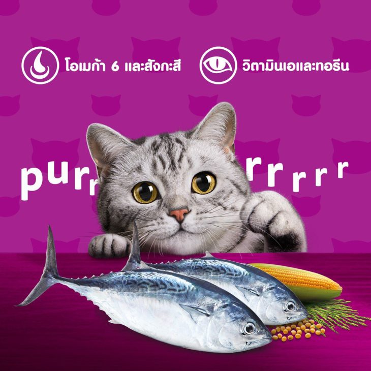Whiskas วิสกัส อาหารเม็ดแมว สูตรแมวโต รสปลาทูน่า - Image 4
