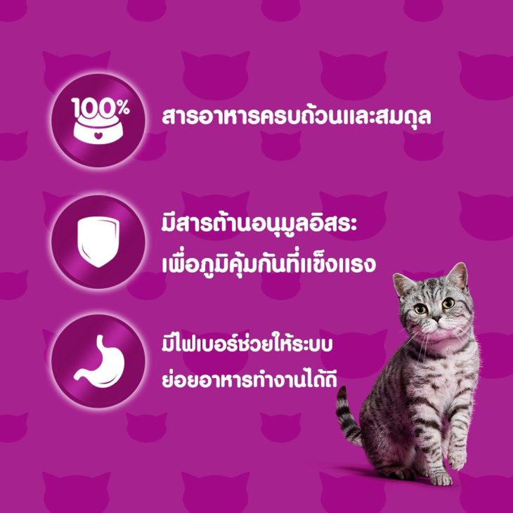 Whiskas วิสกัส อาหารเม็ดแมว สูตรแมวโต รสสเต็กปลาแซลมอนย่าง - Image 3