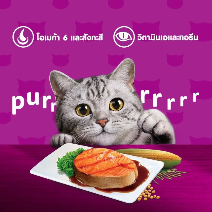 Whiskas วิสกัส อาหารเม็ดแมว สูตรแมวโต รสสเต็กปลาแซลมอนย่าง - Image 4
