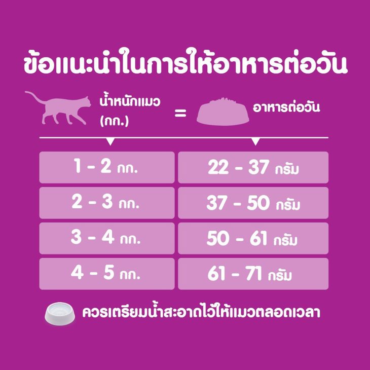 Whiskas วิสกัส อาหารเม็ดแมว สูตรแมวโต รสสเต็กปลาแซลมอนย่าง - Image 7