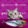 Whiskas วิสกัส อาหารเม็ดแมว สูตรแมวโต รสโกเม่ซีฟู้ด - Image 6