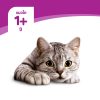 Whiskas วิสกัส อาหารเม็ดแมว สูตรแมวโต รสโกเม่ซีฟู้ด - Image 8
