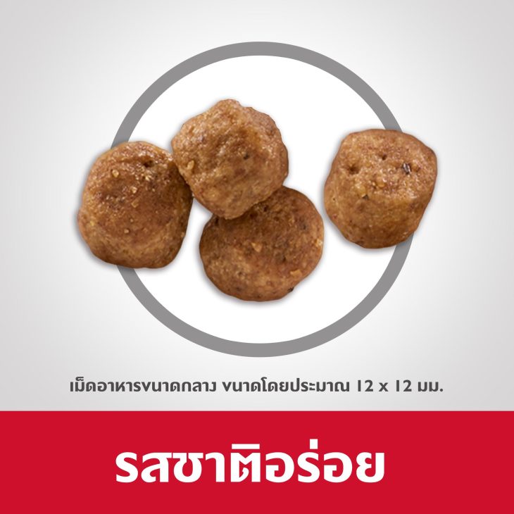 Hill's Science Diet Adult 7+ อาหารสุนัข อายุ 7 ปีขึ้นไป ขนาด 12 กก. - Image 4