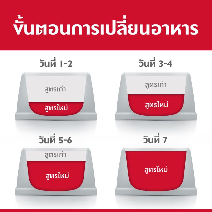 Hill's Science Diet Adult 7+ อาหารสุนัข อายุ 7 ปีขึ้นไป ขนาด 12 กก. - Image 5