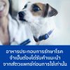 Hill’s Prescription Diet i/d อาหารแมว สำหรับปัญหาทางเดินอาหาร แบบกระป๋อง ขนาด 156 กรัม - Image 3