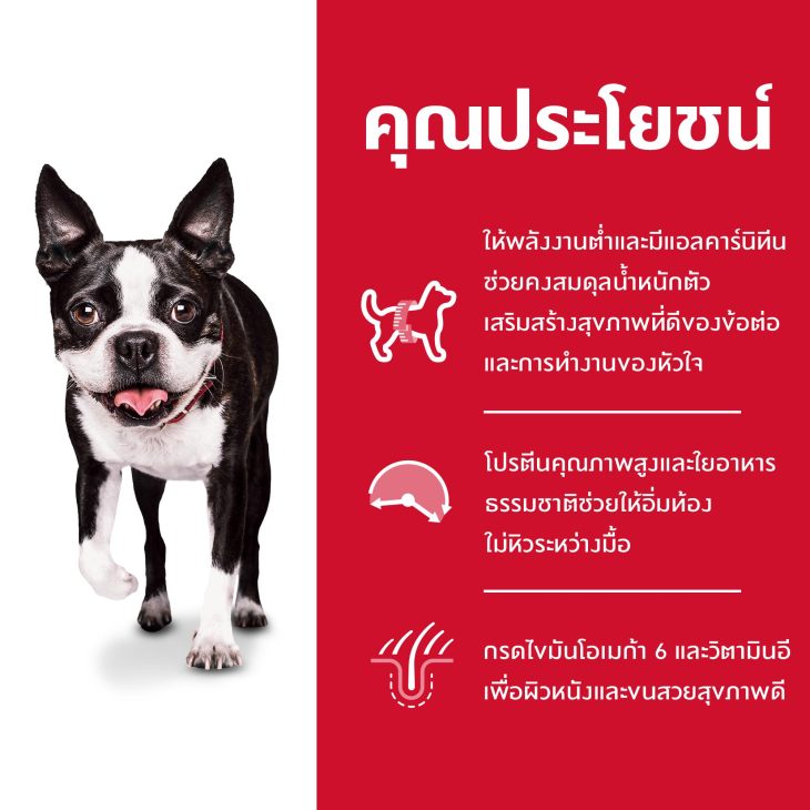 Hill's Science Diet Light Small Bites อาหารสุนัข อายุ 1-6 ปี สูตรไขมันต่ำ (ขนาดเม็ดเล็ก) สำหรับสุนัขทำหมันหรือลดน้ำหนัก 12 กก. - Image 3