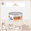 Hill’s Prescription Diet k/d Feline อาหารแมว สำหรับปัญหาโรคไต แบบกระป๋อง ขนาด 156 กรัม